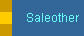 Saleother
